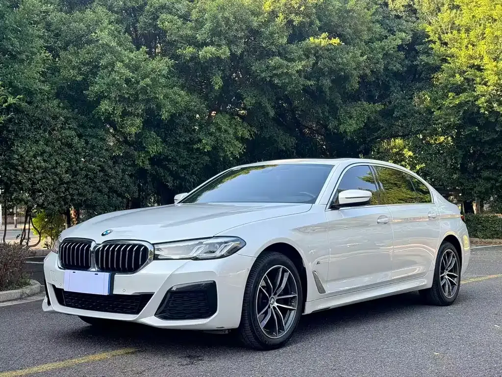 BMW 5 Series 2024 из CN, фото 1