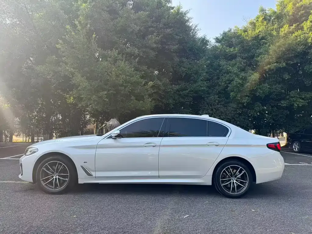 BMW 5 Series 2024 из CN, фото 4