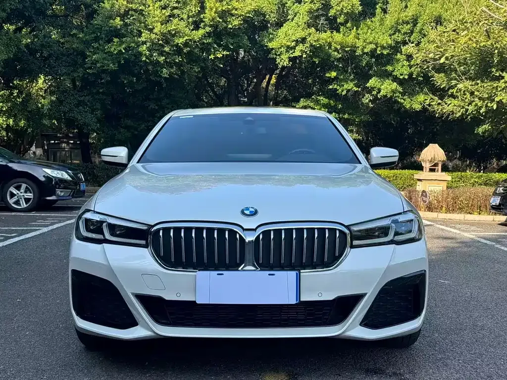 BMW 5 Series 2024 из CN, фото 9