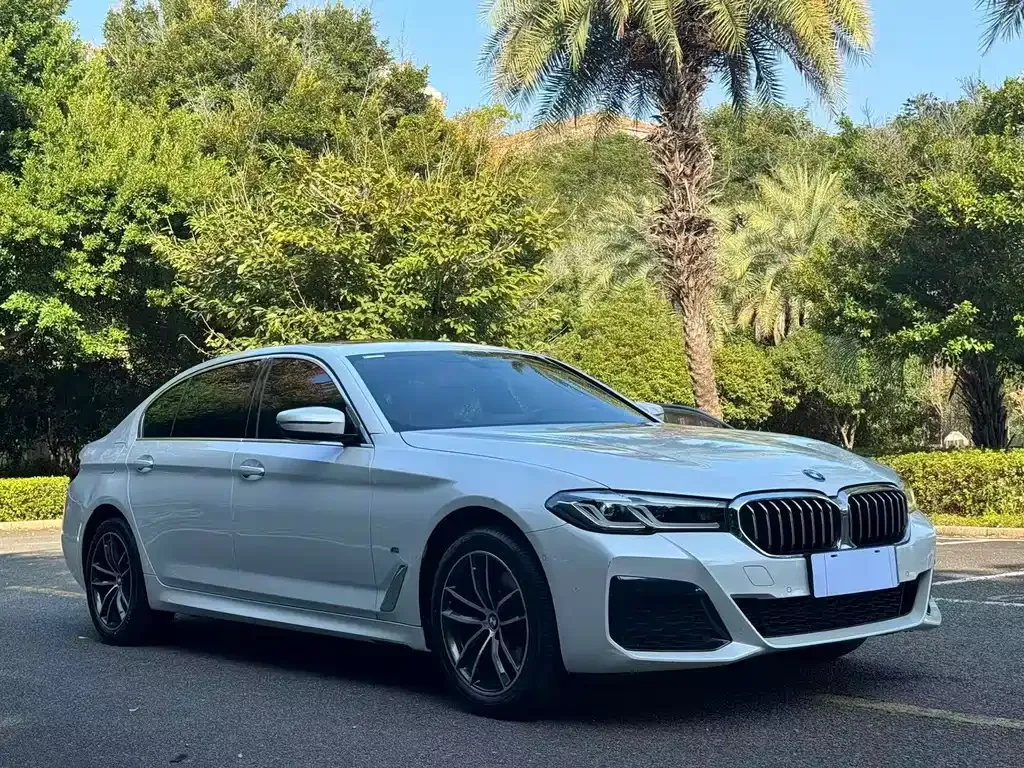BMW 5 Series 2024 из CN, фото 8