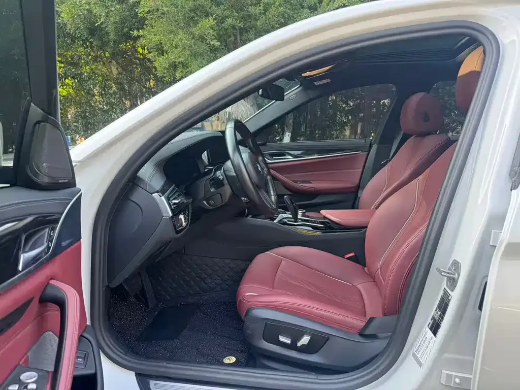 BMW 5 Series 2024 из CN, фото 5