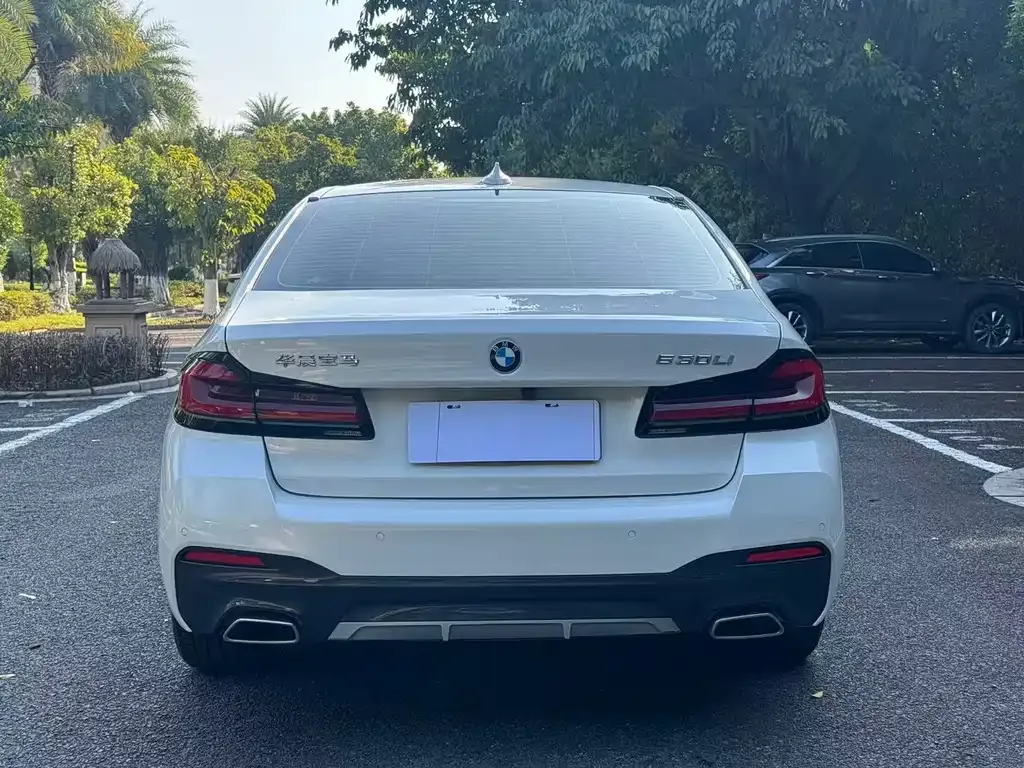 BMW 5 Series 2024 из CN, фото 7