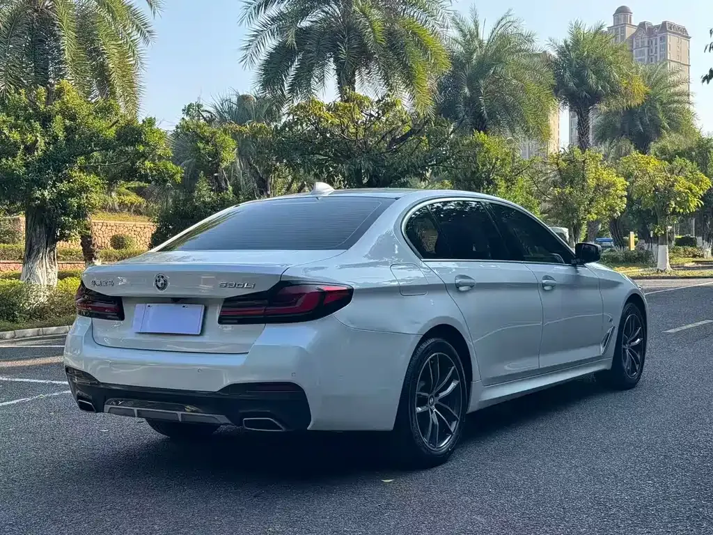 BMW 5 Series 2024 из CN, фото 10