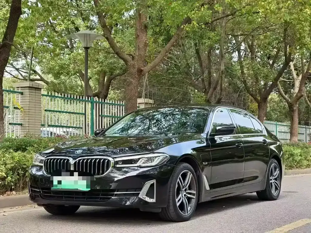 BMW 5 Series New Energy 2022 из CN, фото 7
