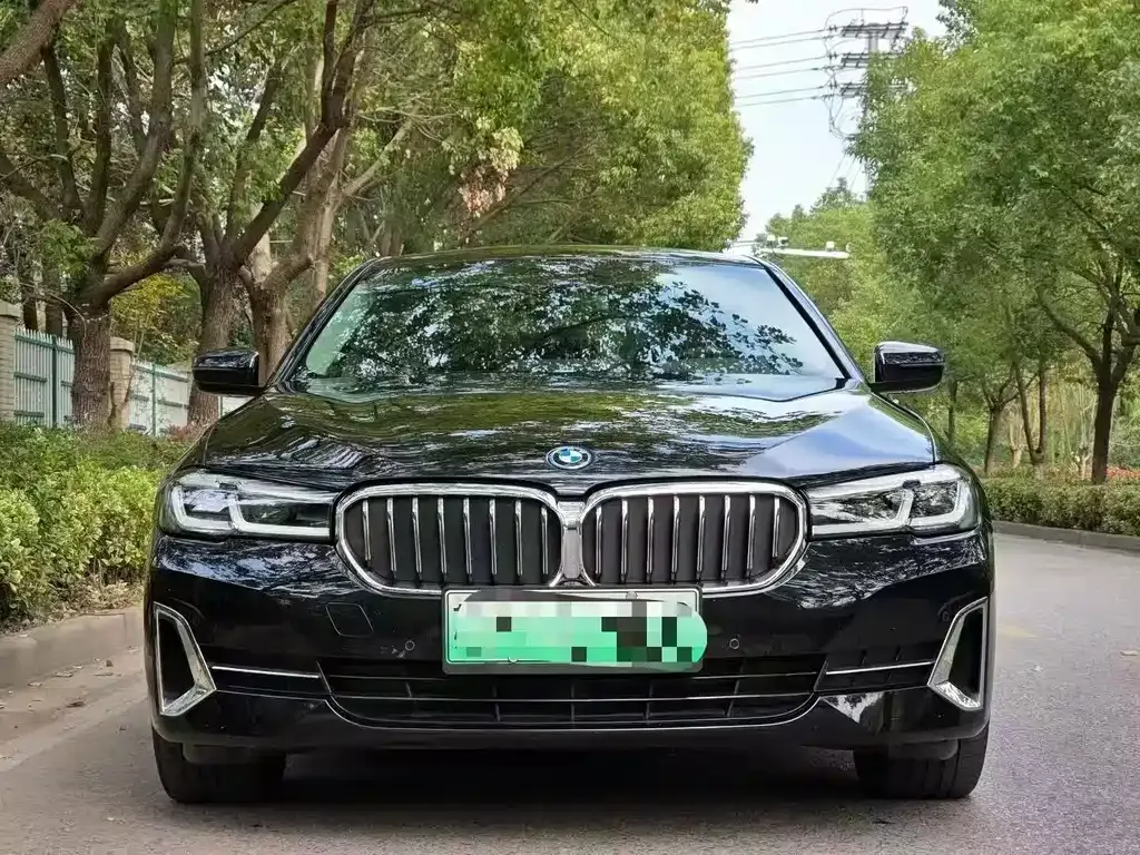 BMW 5 Series New Energy 2022 из CN, фото 5