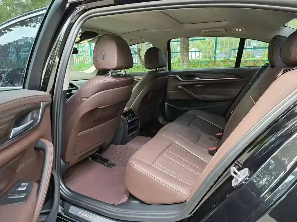 BMW 5 Series New Energy 2022 из CN, фото 2