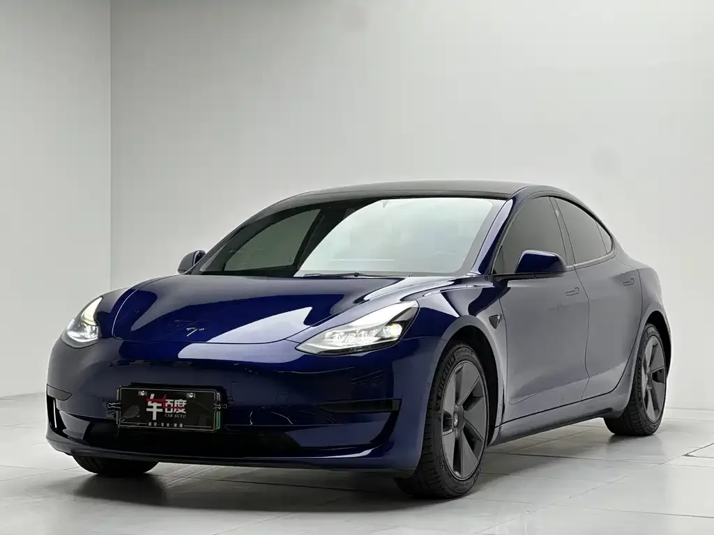 Tesla Model 3 2021 из CN, фото 1
