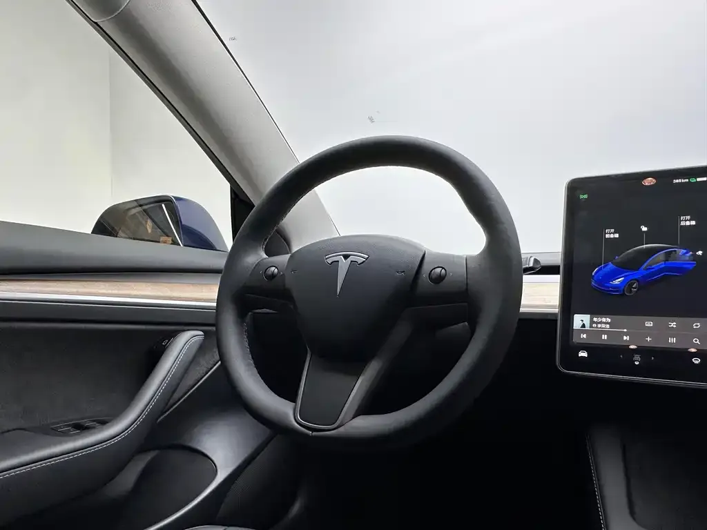 Tesla Model 3 2021 из CN, фото 10