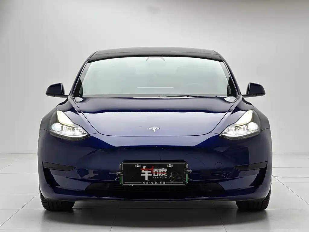 Tesla Model 3 2021 из CN, фото 2