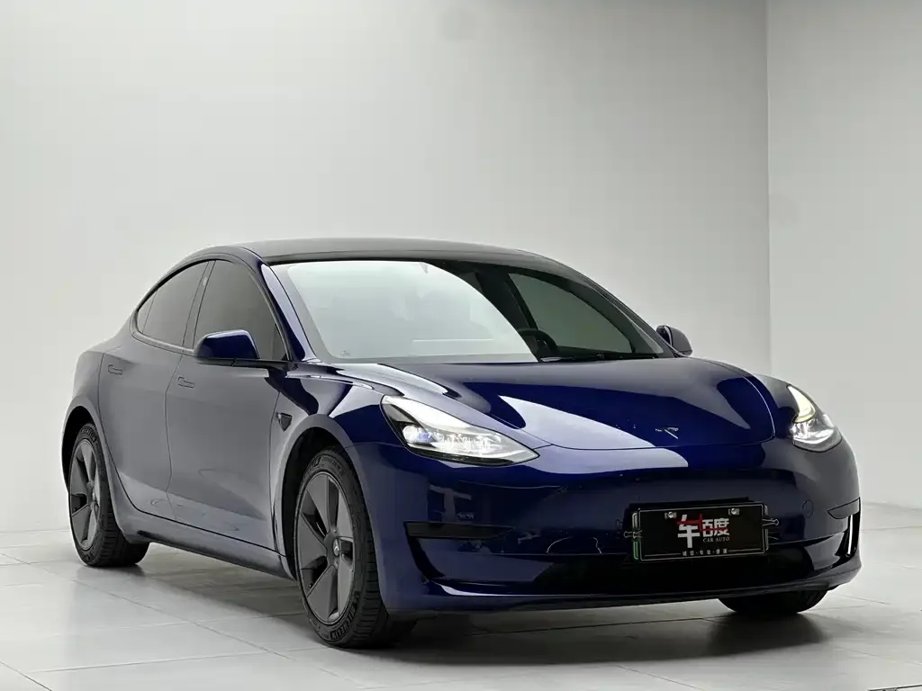 Tesla Model 3 2021 из CN, фото 3