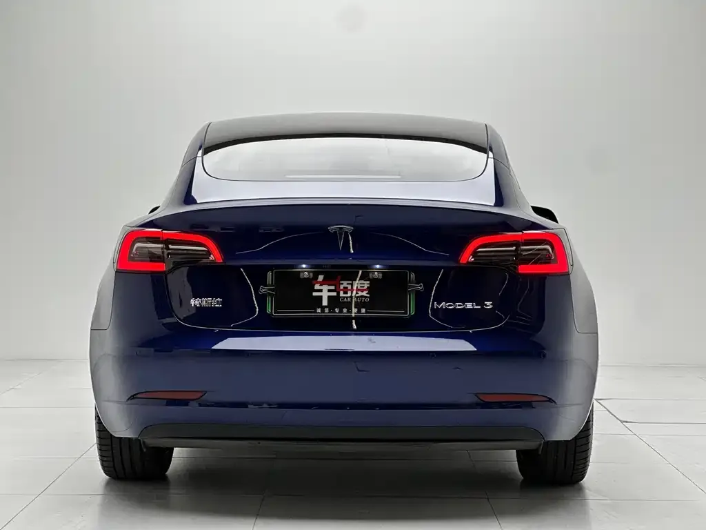 Tesla Model 3 2021 из CN, фото 5
