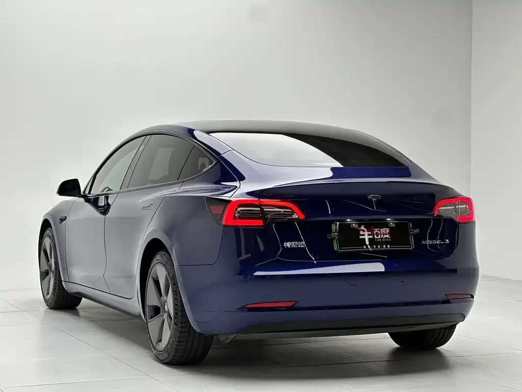Tesla Model 3 2021 из CN, фото 6