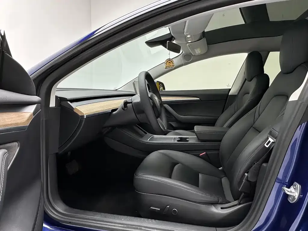 Tesla Model 3 2021 из CN, фото 7