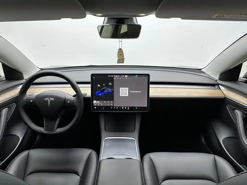 Tesla Model 3 2021 из CN, фото 9