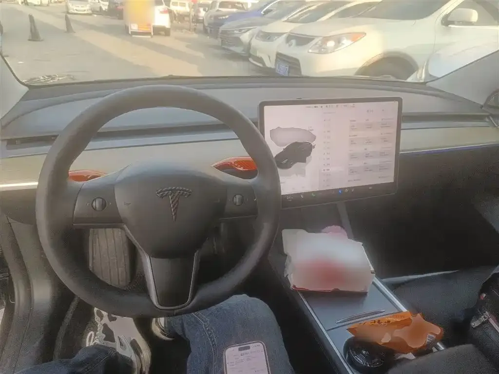 Tesla Model 3 2023 из CN, фото 10
