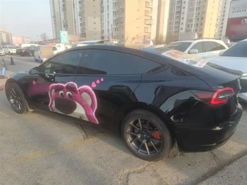 Tesla Model 3 2023 из CN, фото 5