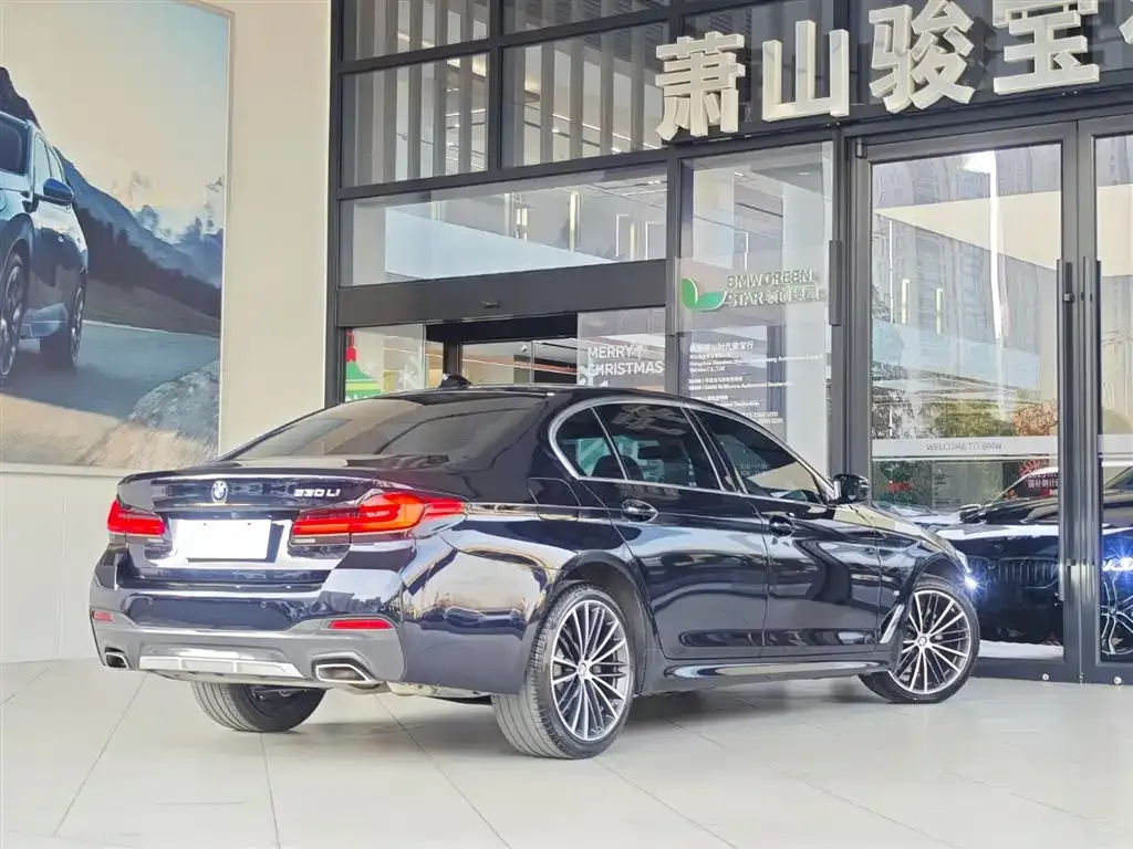 BMW 5 Series 2022 из CN, фото 6