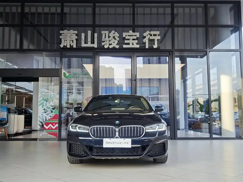 BMW 5 Series 2022 из CN, фото 3