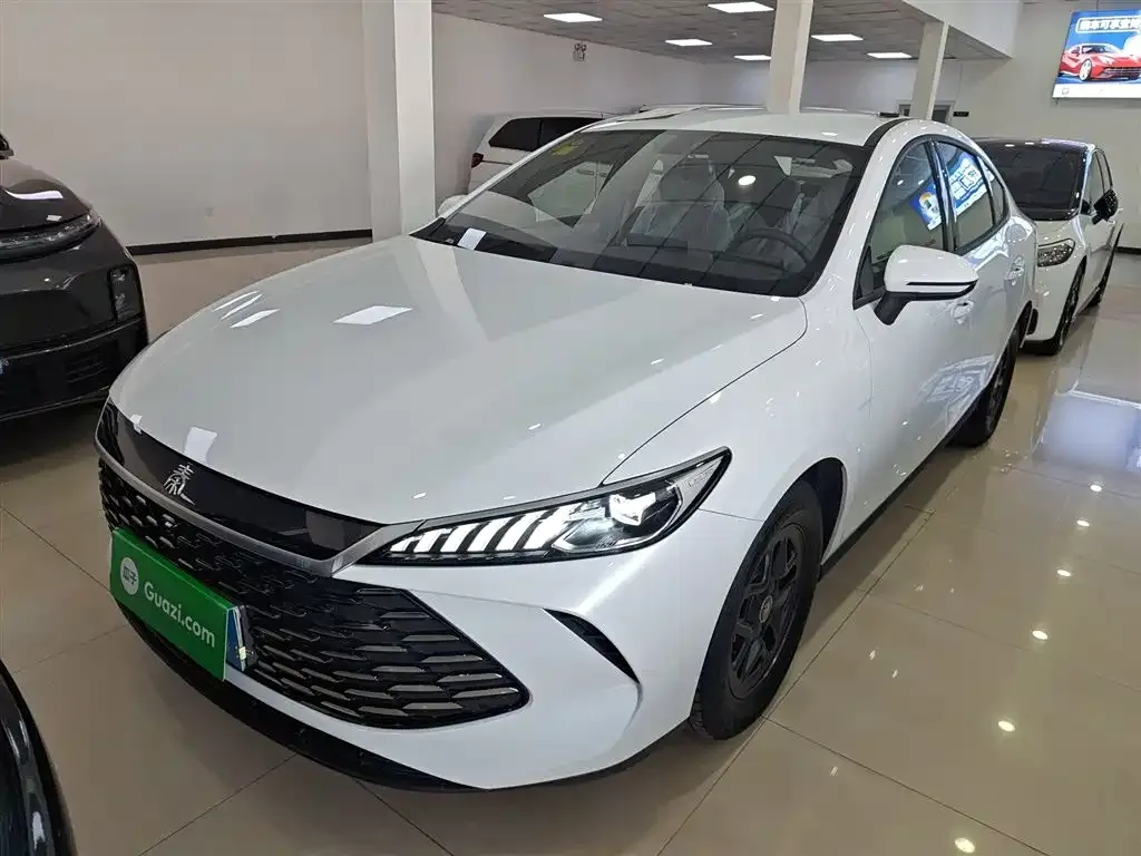 BYD Qin PLUS — фото 10