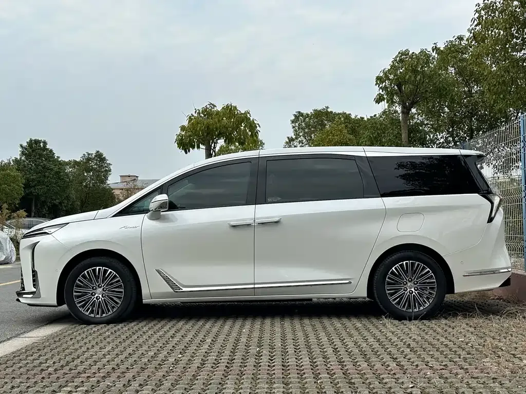 Buick GL8 Hybrid 2024 из CN, фото 7