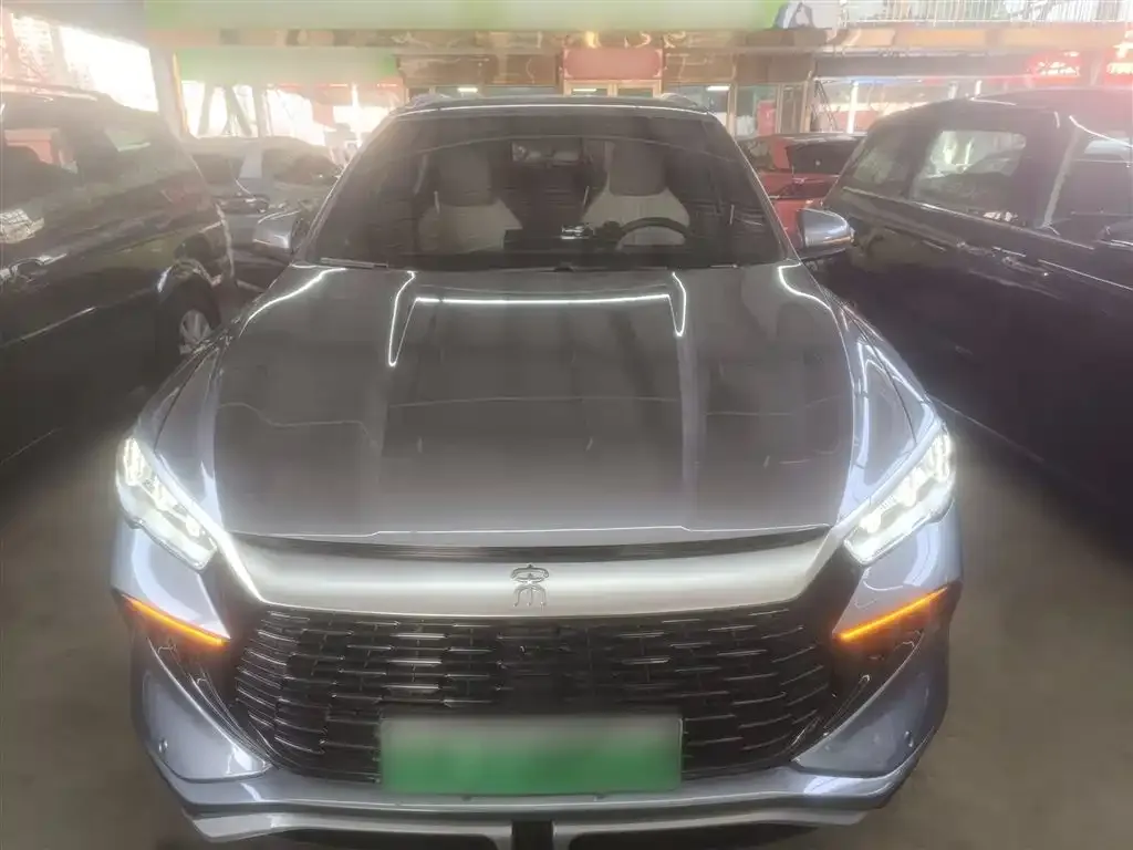 BYD Pro New Energy 2023 из CN, фото 9