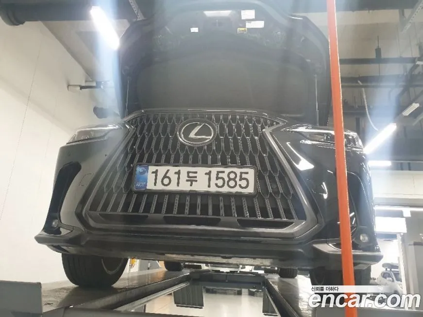 Lexus NX 2025 из KR, фото 2