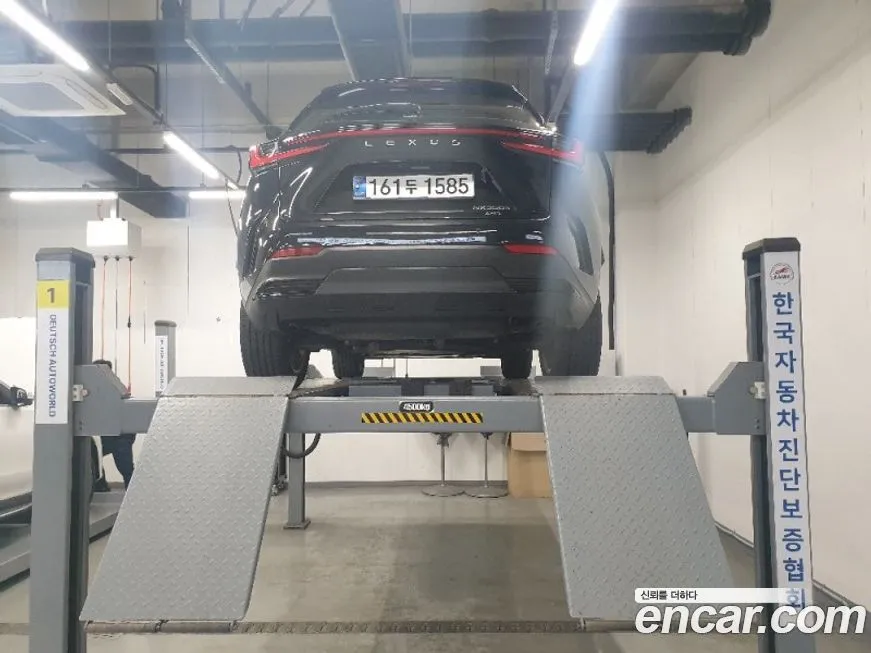 Lexus NX 2025 из KR, фото 3