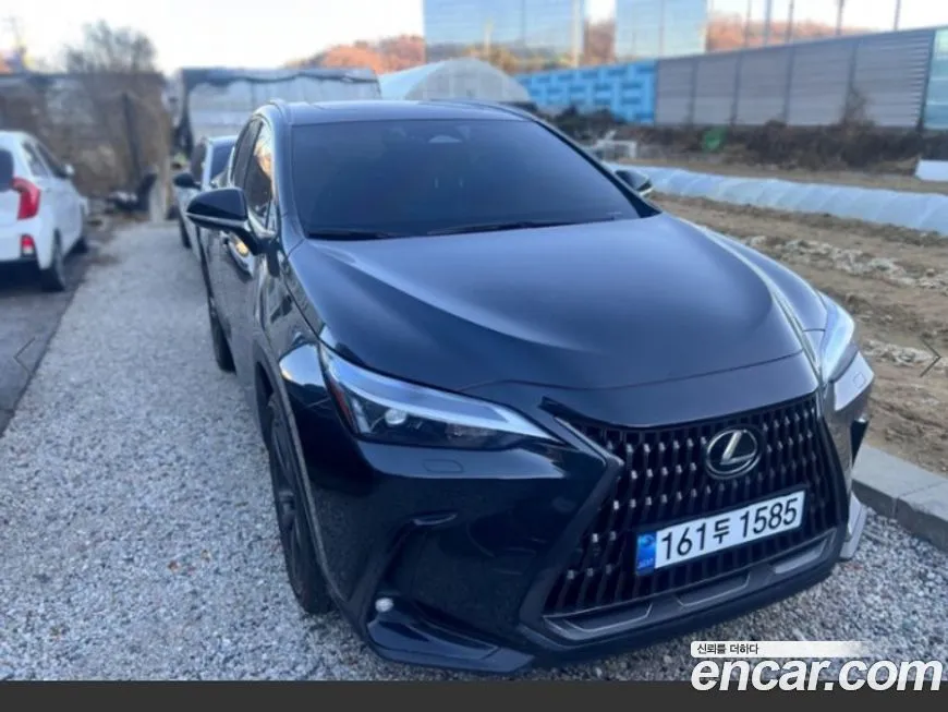 Lexus NX 2025 из KR, фото 1