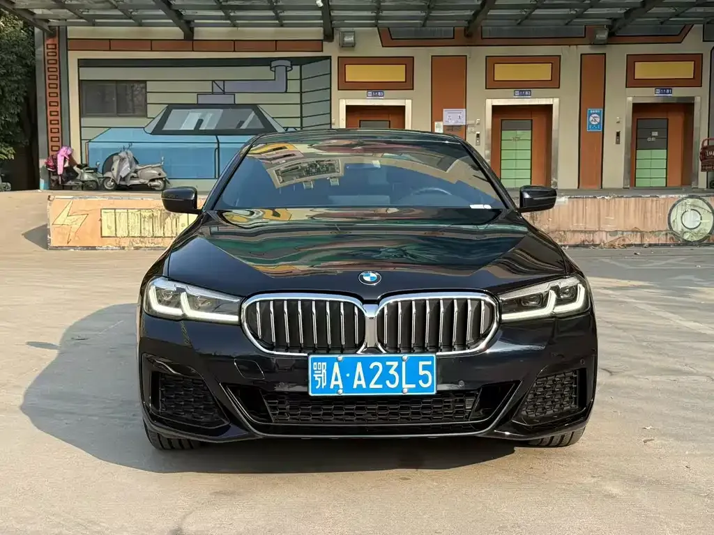 BMW 5 Series 2022 из CN, фото 3