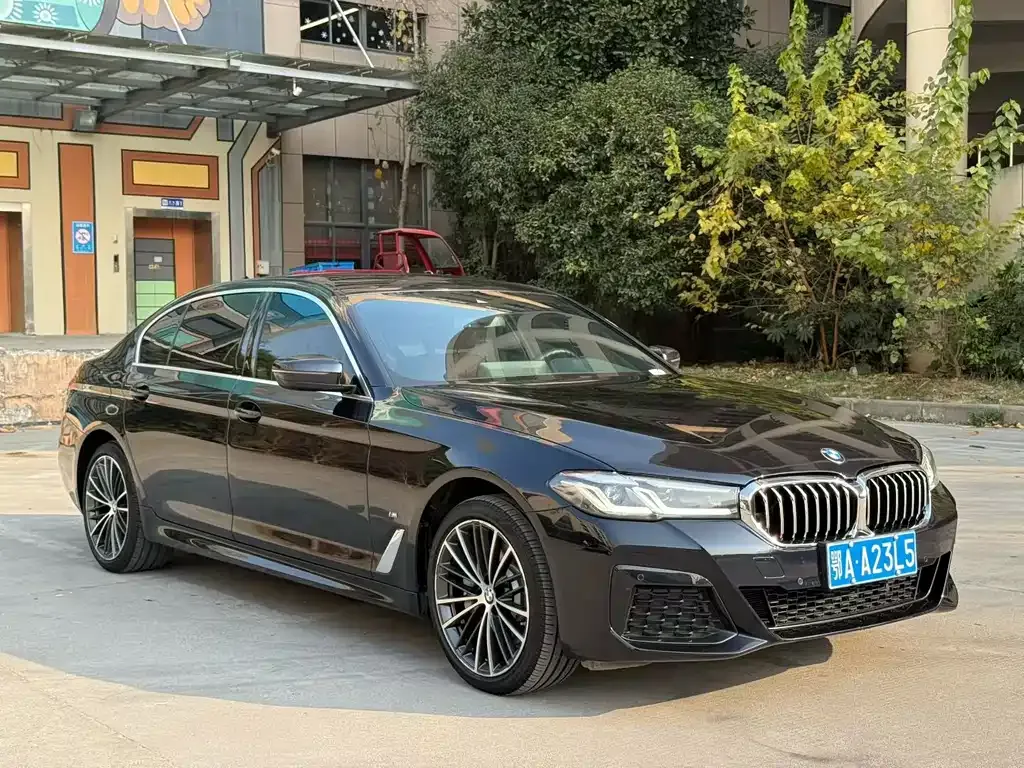 BMW 5 Series 2022 из CN, фото 9