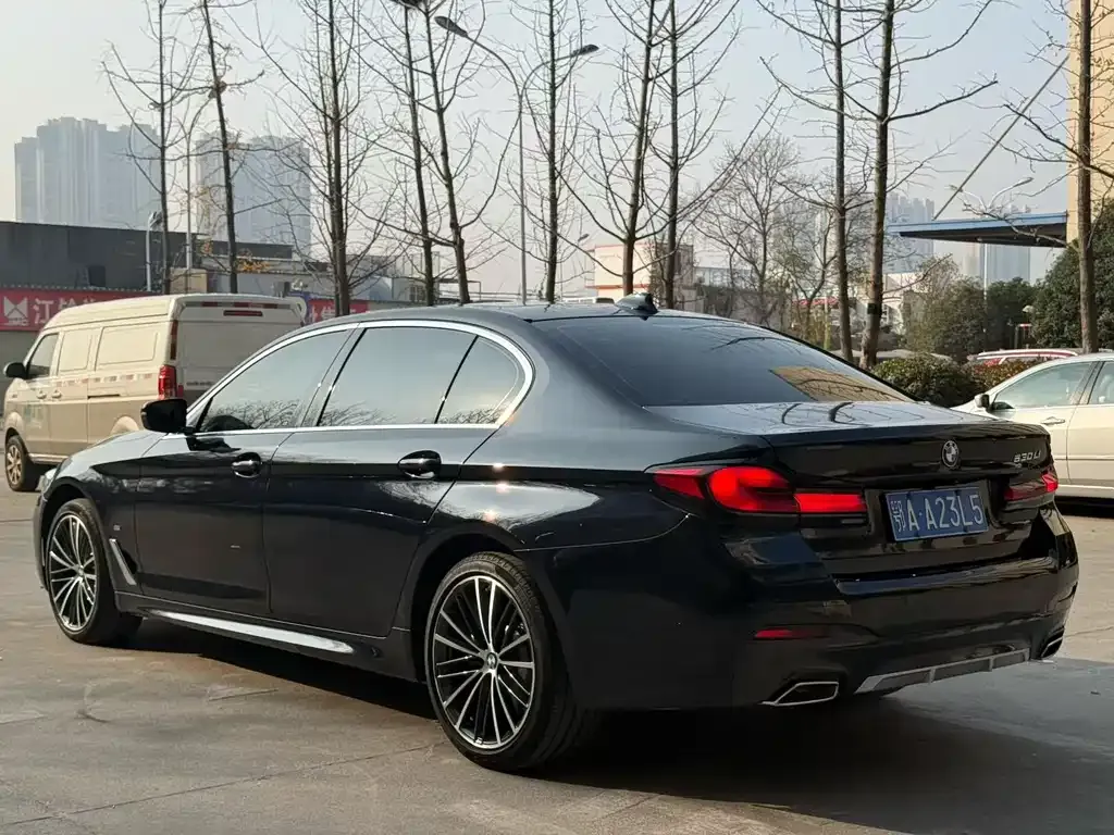 BMW 5 Series 2022 из CN, фото 6