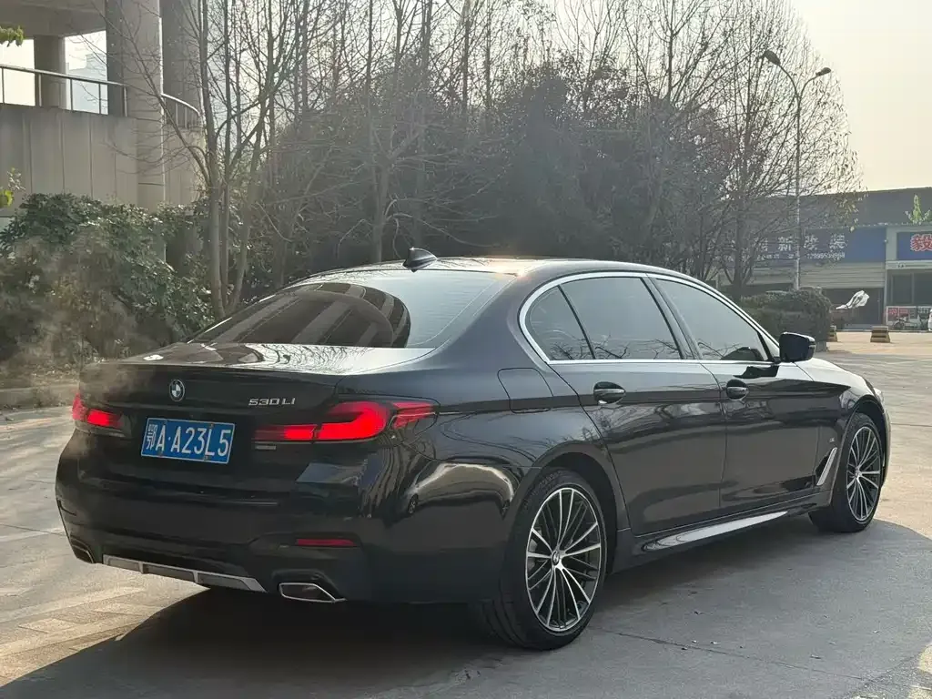 BMW 5 Series 2022 из CN, фото 7