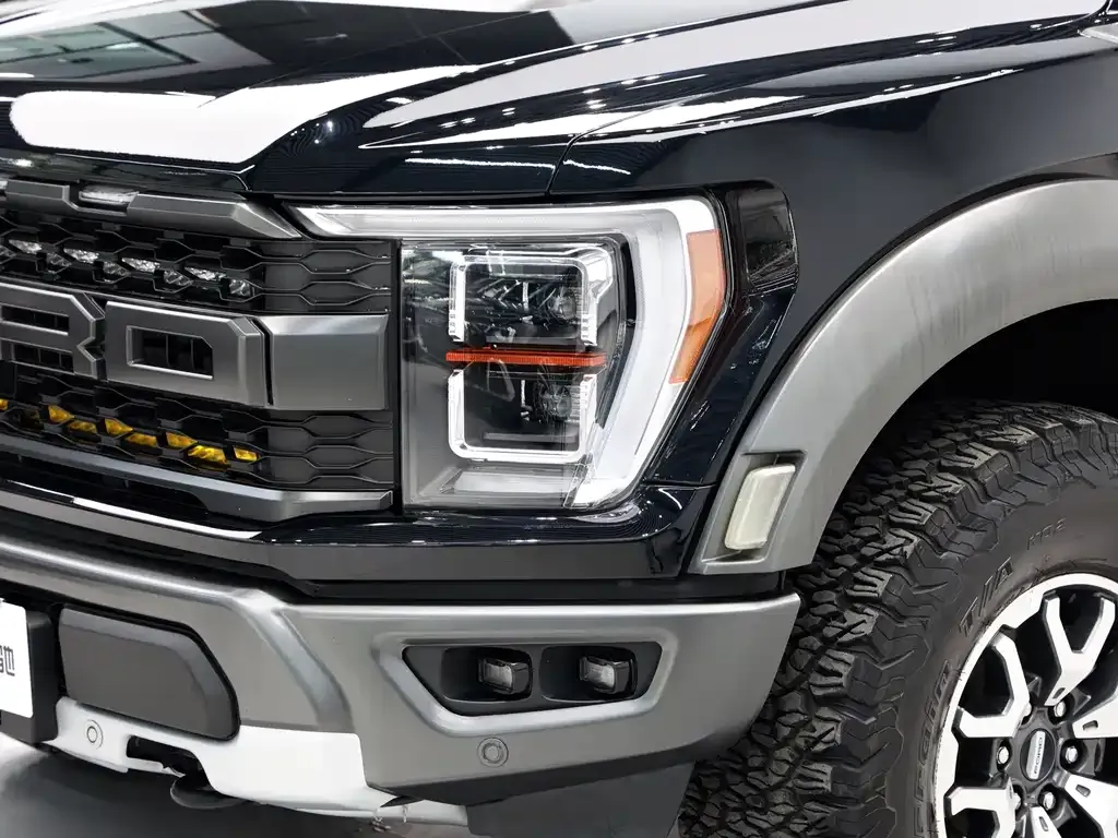 Ford F-150 Raptor 2024 из CN, фото 9