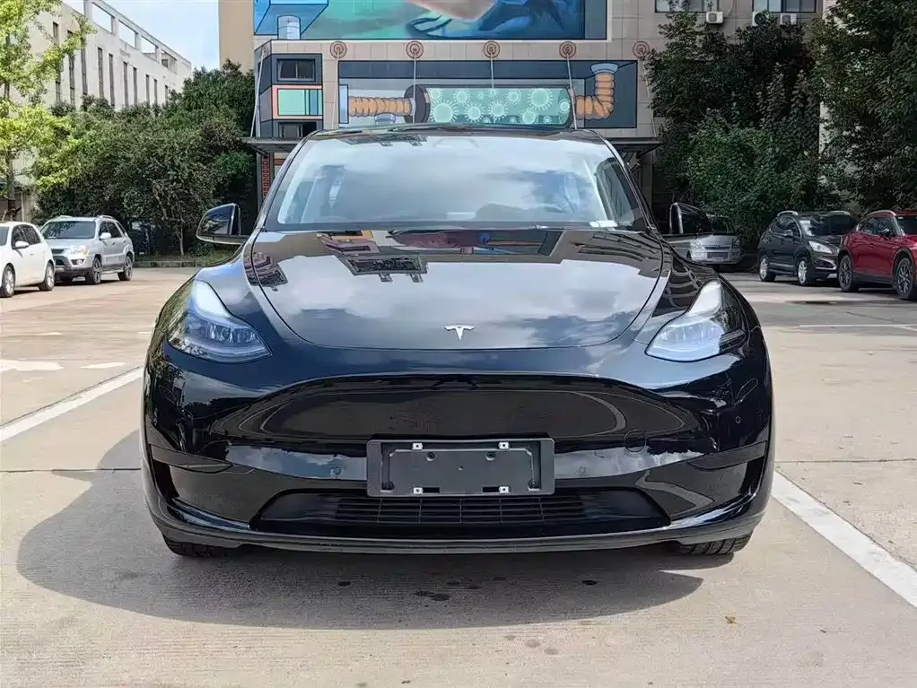 Tesla Model Y 2022 из CN, фото 8