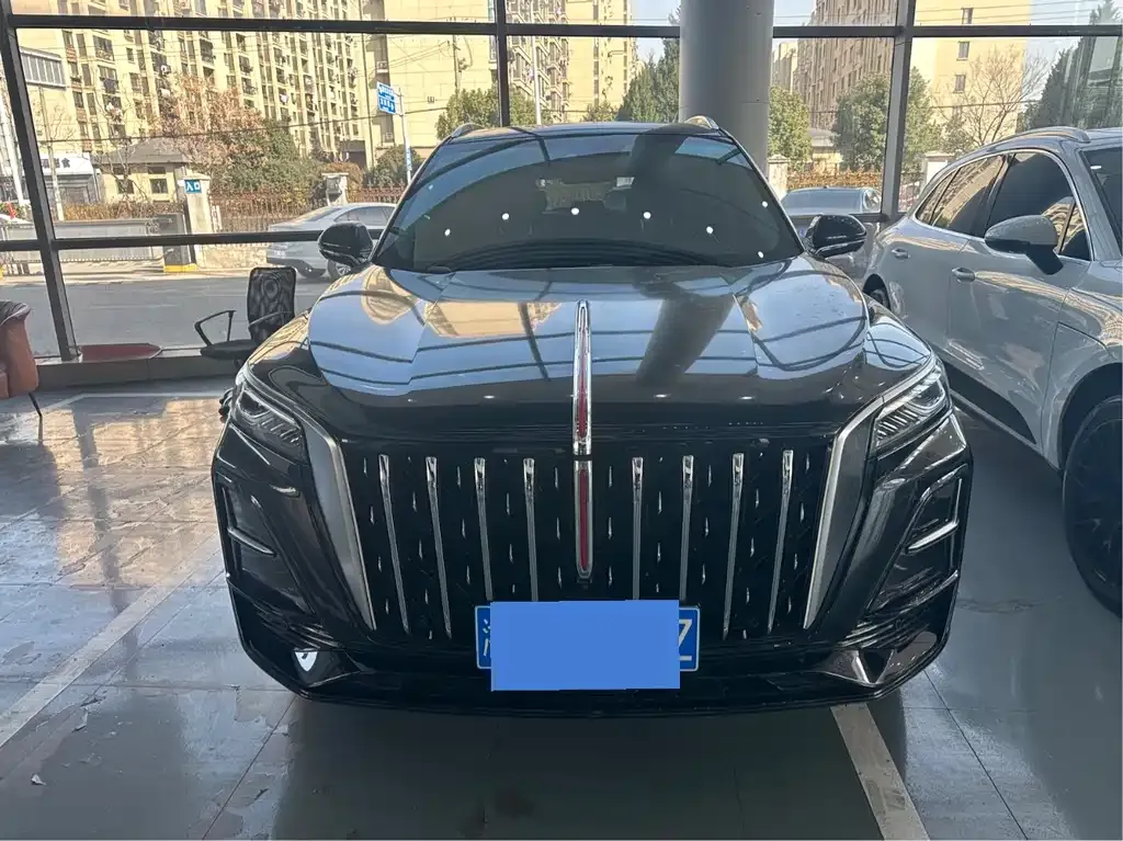 Hongqi HS5 2024 из CN, фото 6
