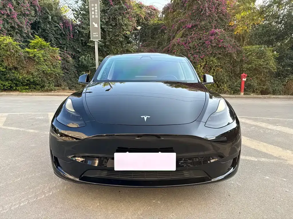 Tesla Model Y — фото 10