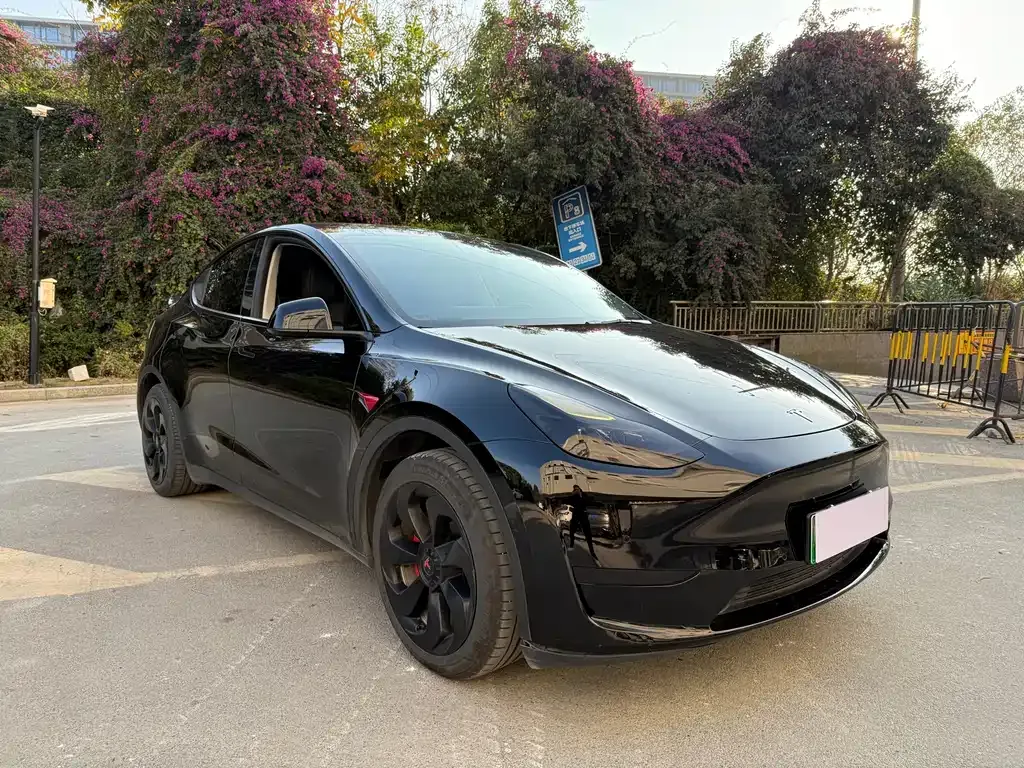 Tesla Model Y — фото 8