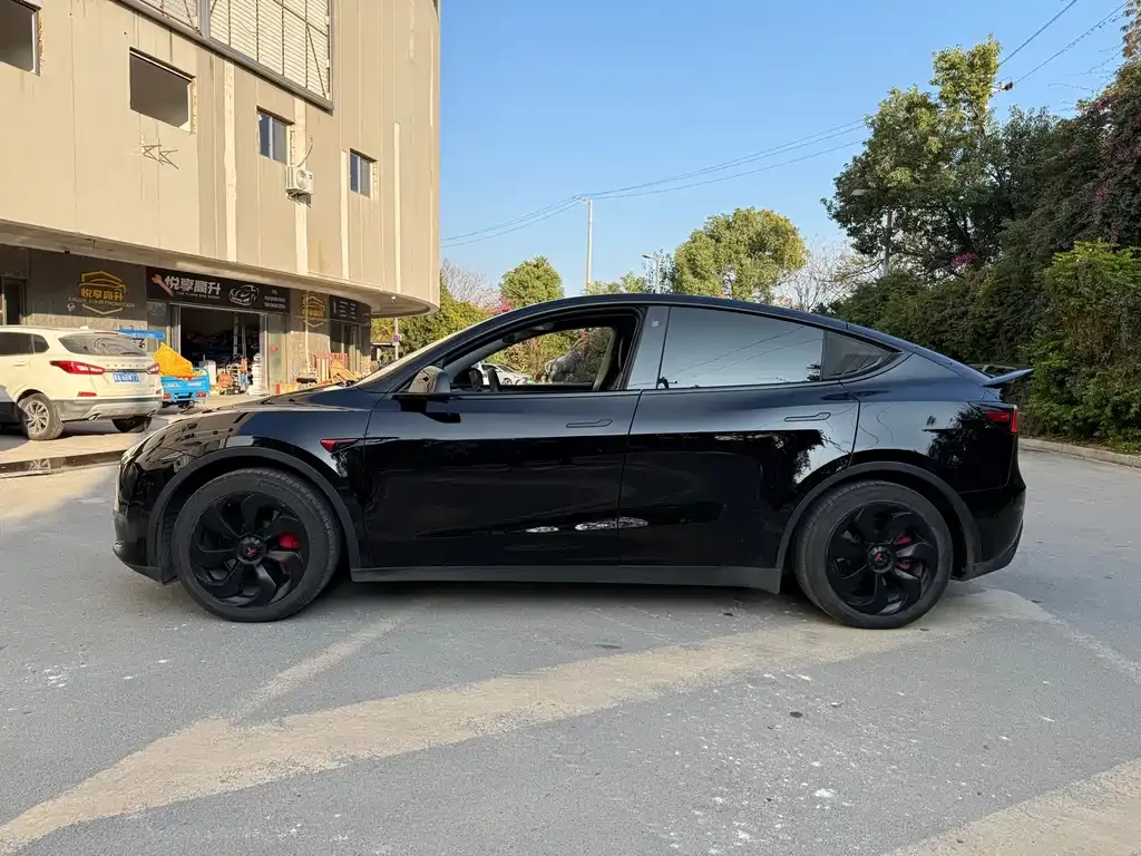 Tesla Model Y — фото 4