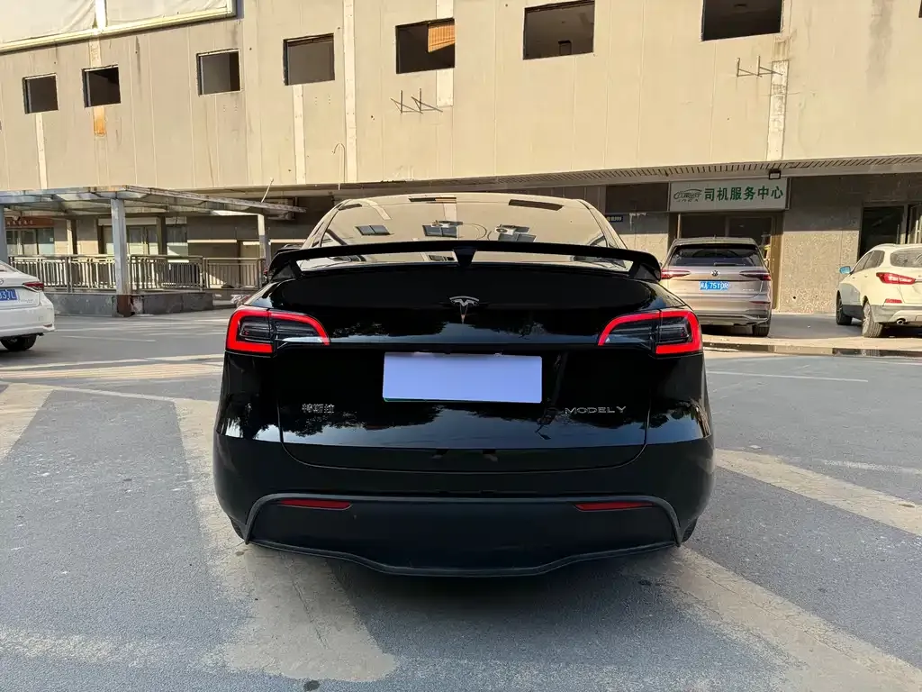 Tesla Model Y — фото 3