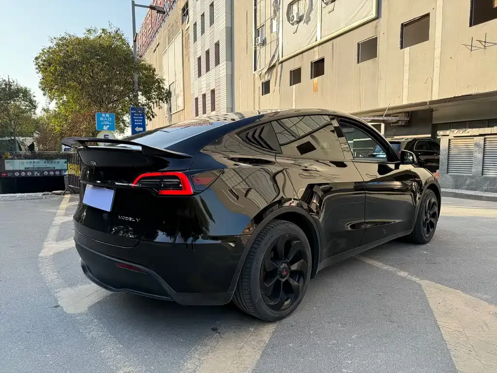 Tesla Model Y — фото 6
