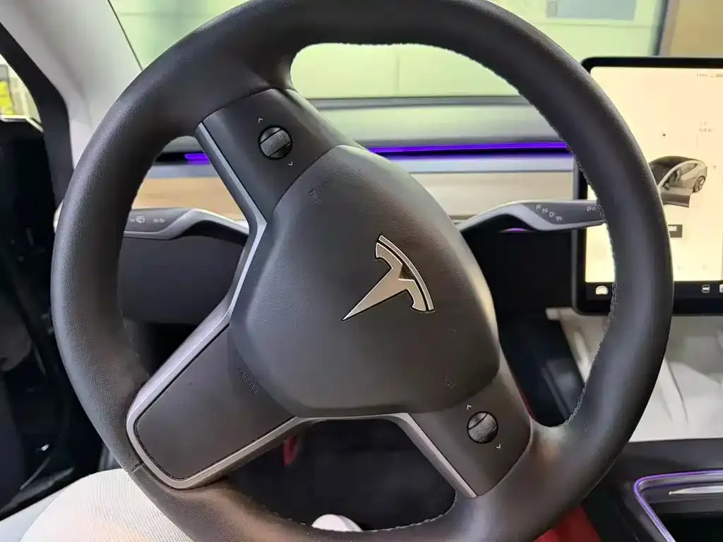 Tesla Model 3 2022 из CN, фото 10