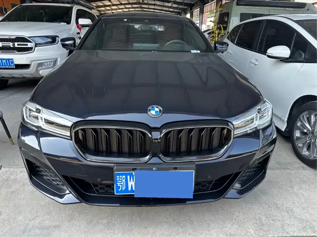 BMW 5 Series 2021 из CN, фото 2
