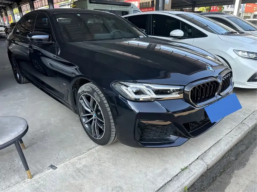 BMW 5 Series 2021 из CN, фото 7