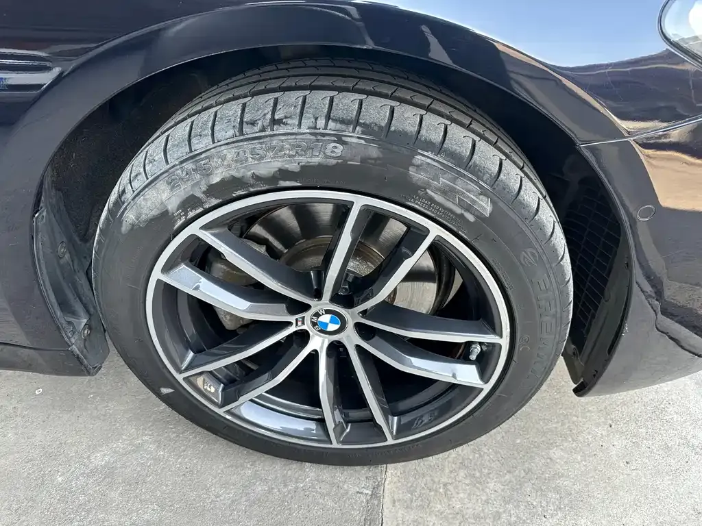 BMW 5 Series 2021 из CN, фото 6