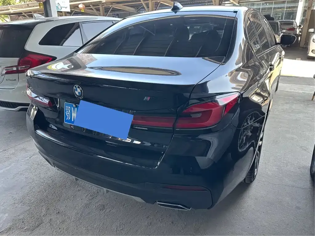 BMW 5 Series 2021 из CN, фото 8