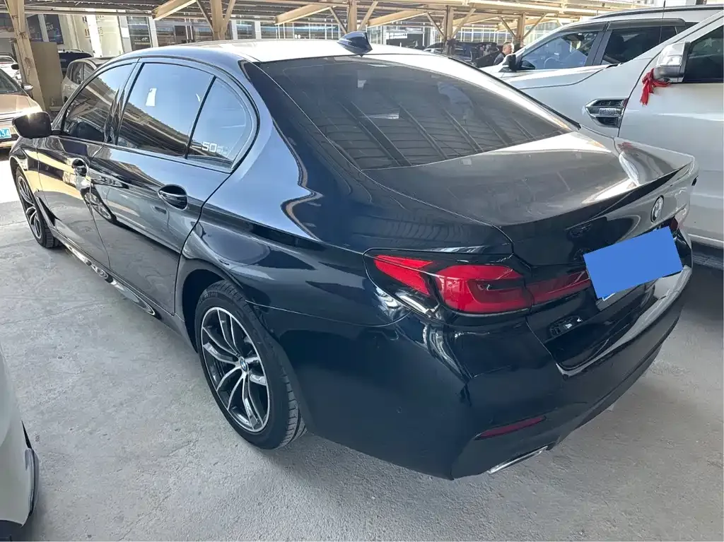 BMW 5 Series 2021 из CN, фото 4