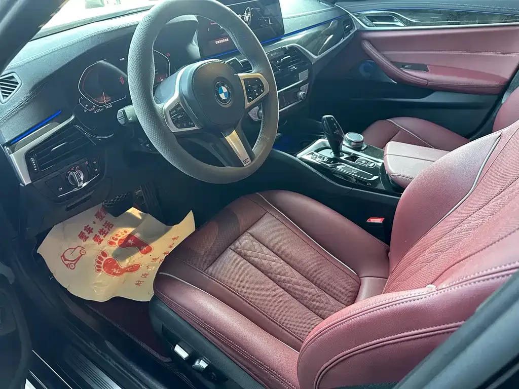 BMW 5 Series 2021 из CN, фото 9