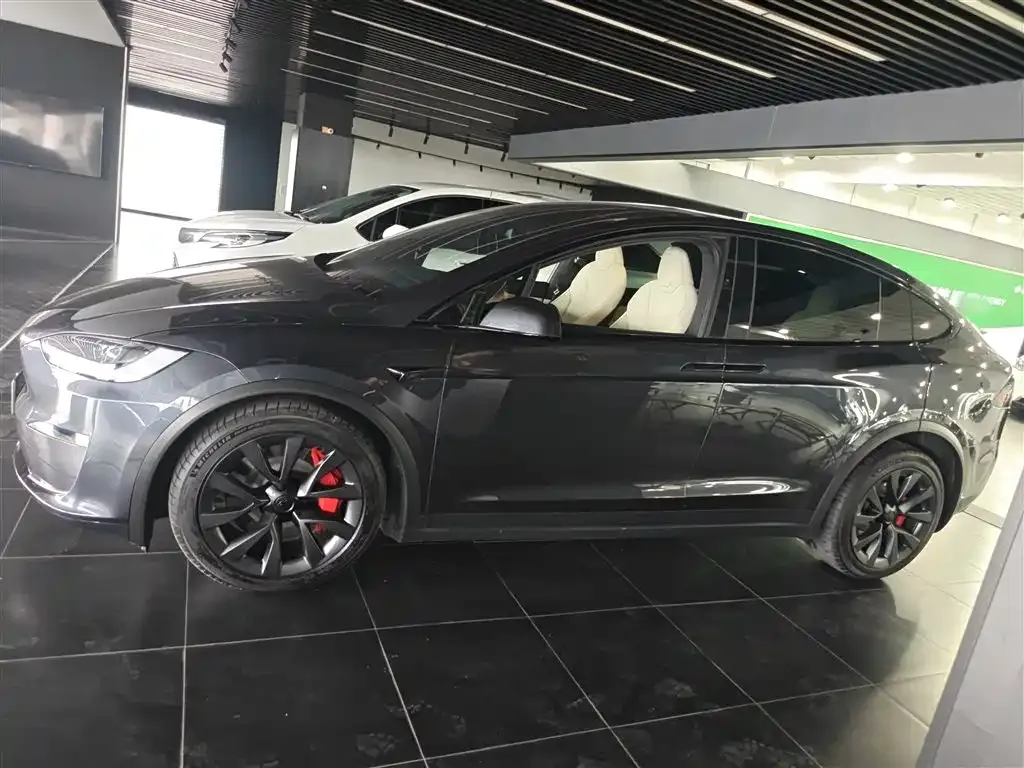 Tesla Model X 2023 из CN, фото 3