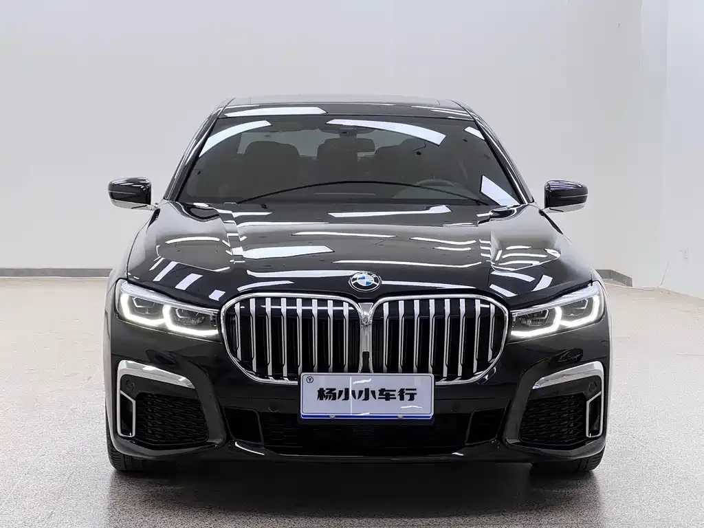BMW 7 Series 2022 из CN, фото 7