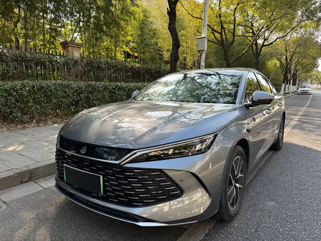 BYD Qin L 2025 из CN, фото 1